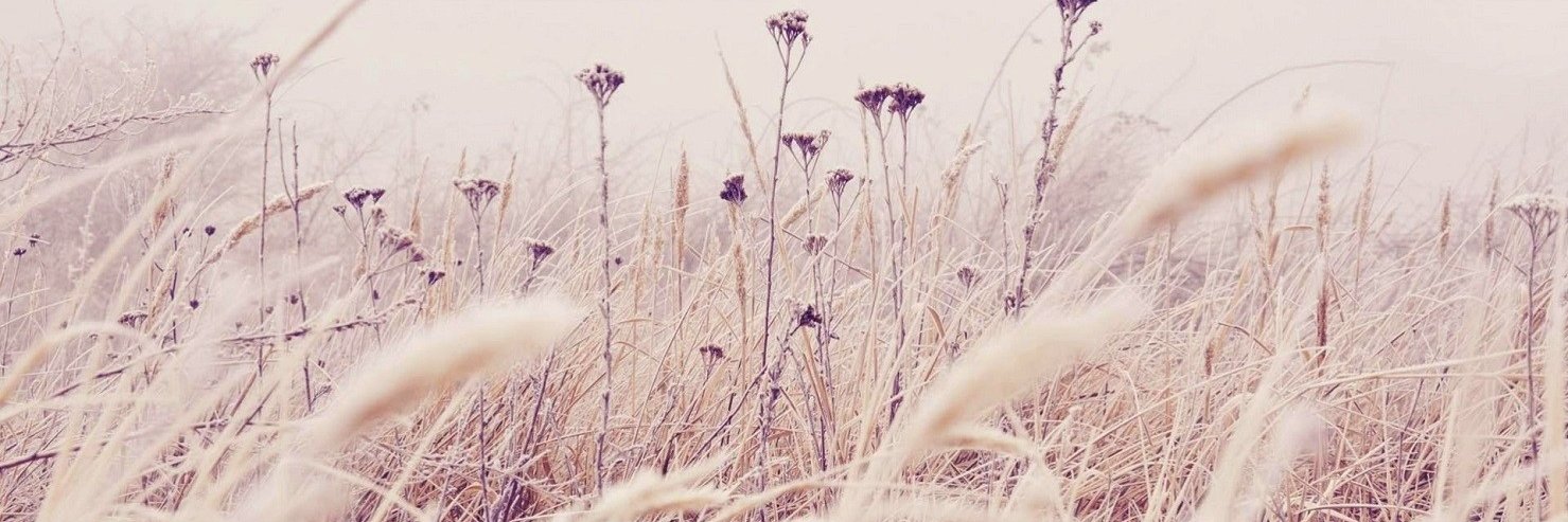 KMinfinity25's profile banner image
