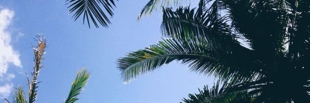 lusoria00's profile banner image