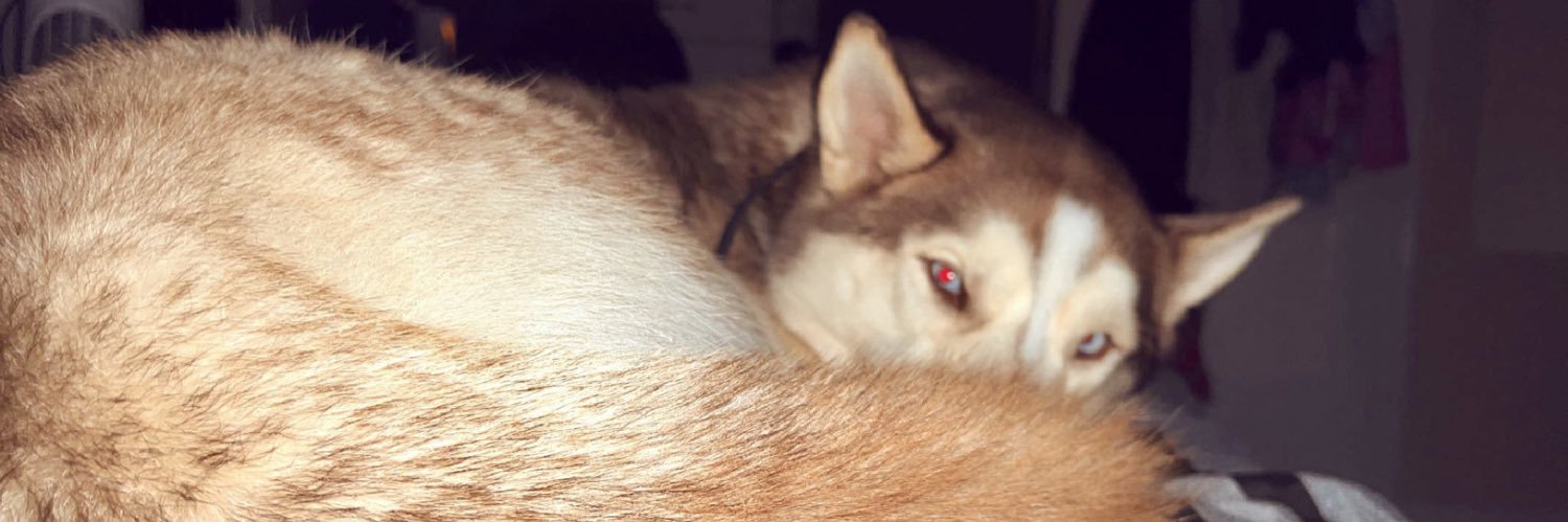 kurtumss's profile banner image