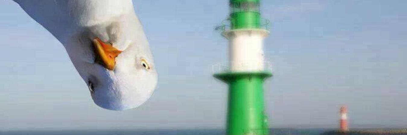 ahmetsaat's profile banner image