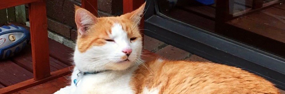 BlacklipsTed #RIPSundance banner