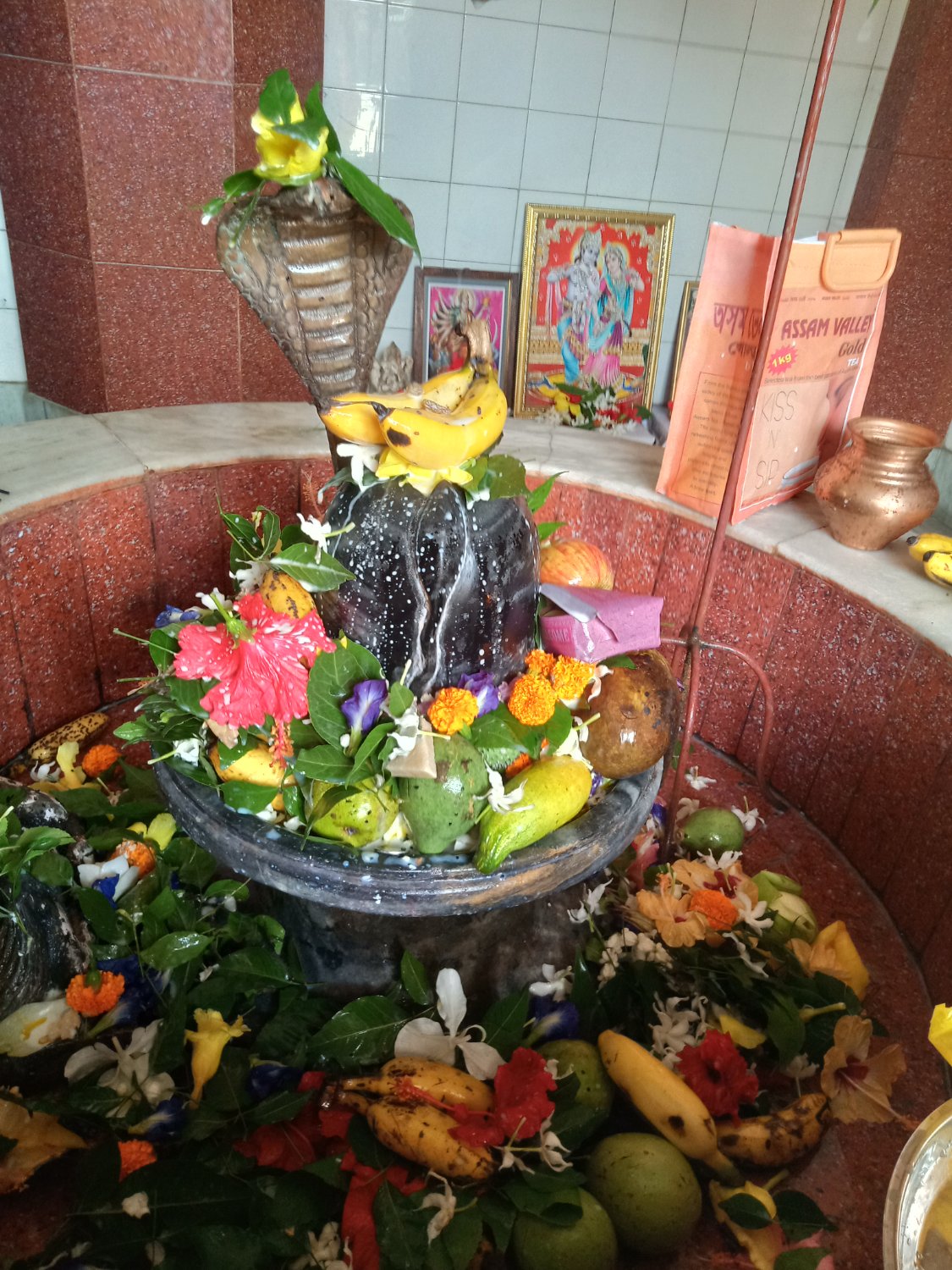 lifecycleindia's profile banner image