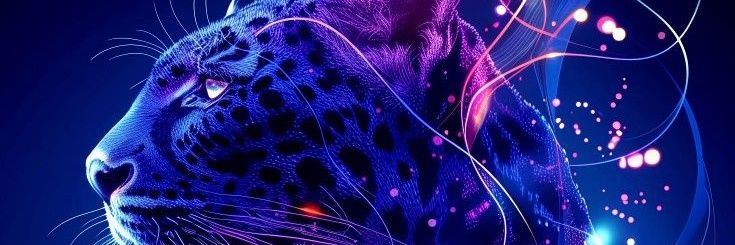 Grace70 banner