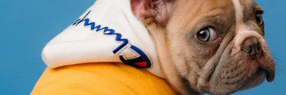 Guzman102020's profile banner image