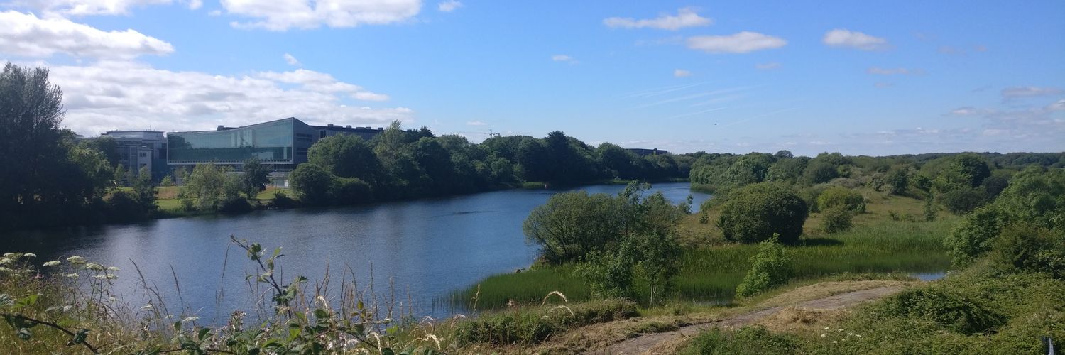 Flavia Caronna banner