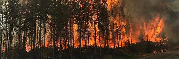 GrandFire1's profile banner image