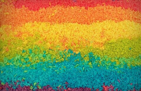 Frida_Sanctuary's profile banner image