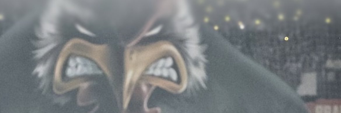 brendindb's profile banner image