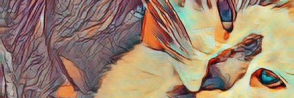 Fretez58's profile banner image
