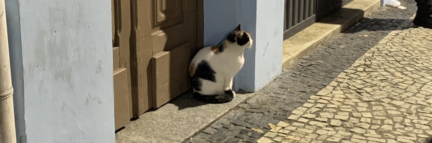Porto9797's profile banner image