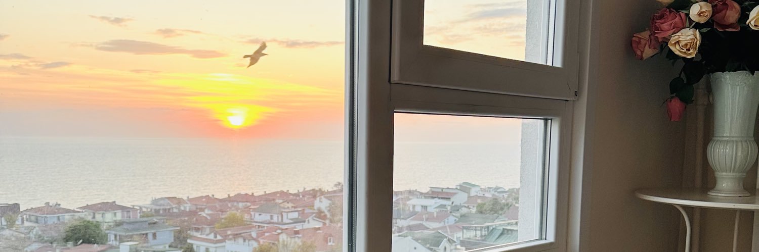 emel_cetin's profile banner image