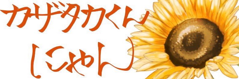 V00377461's profile banner image