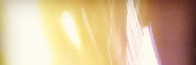 UnanimousMolly's profile banner image