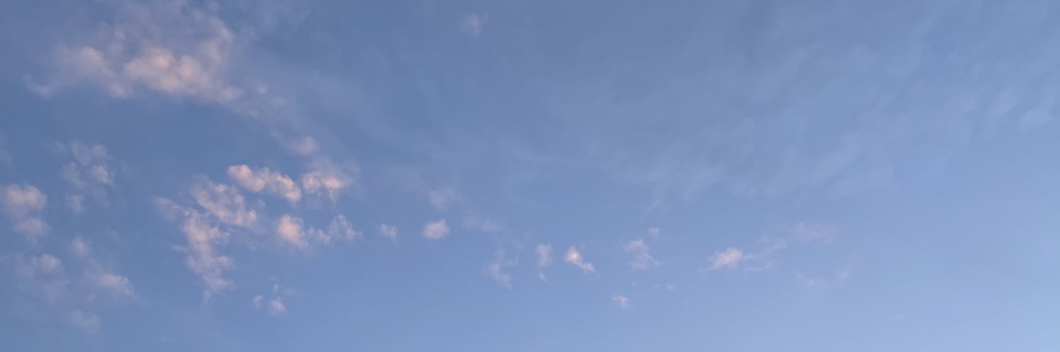 Jasmine. banner