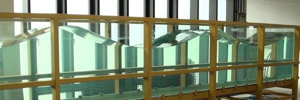 SelkieProject Profile Banner