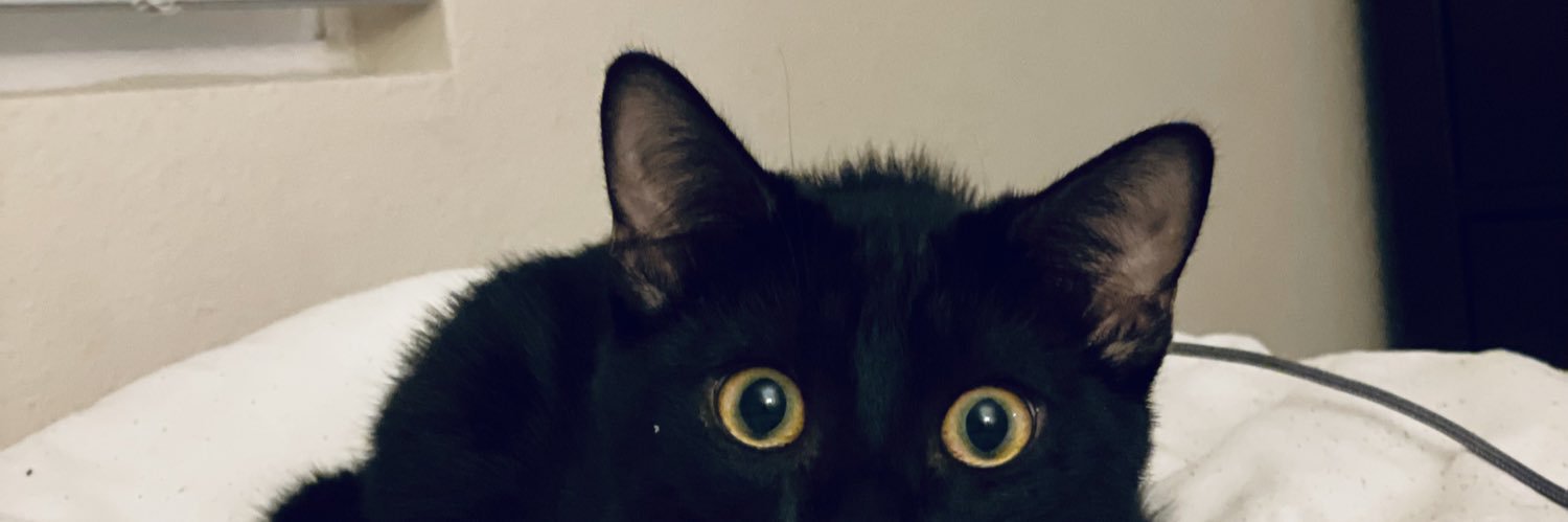 jocelyn vlores banner