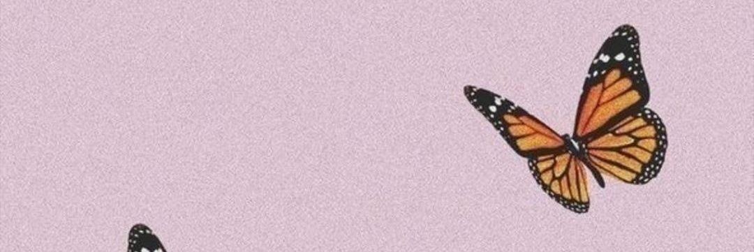 Noelia banner