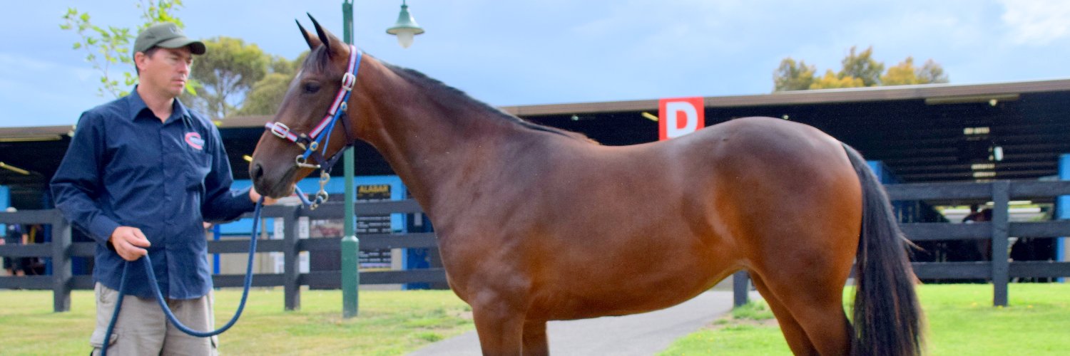 NIXON BLOODSTOCK banner