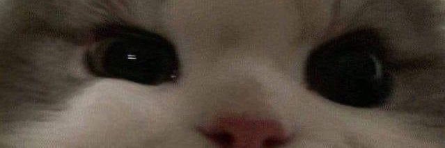 🧍🏻‍♂️ banner