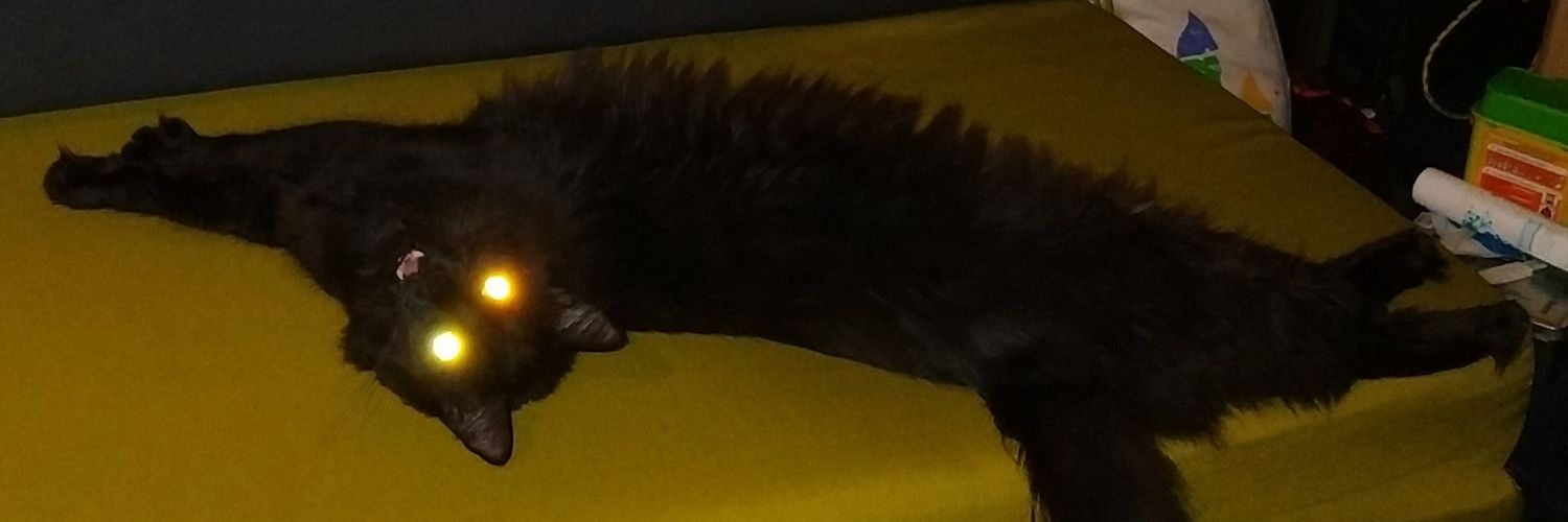 sharanmeow's profile banner image