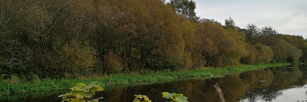 N_iamhSmith Profile Banner