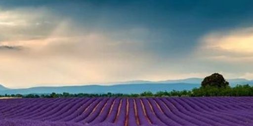 lissmax's profile banner image