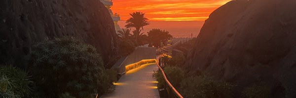 CraigStenhouse1 Profile Banner