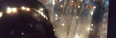 Gee_2002's profile banner image