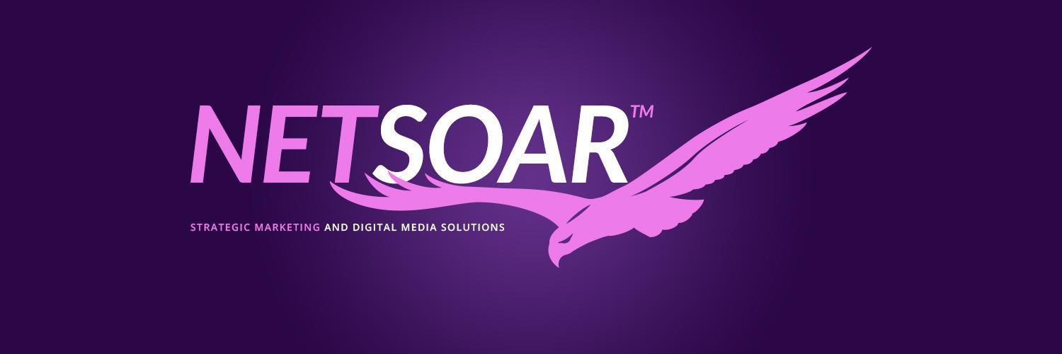 netsoar's profile banner image