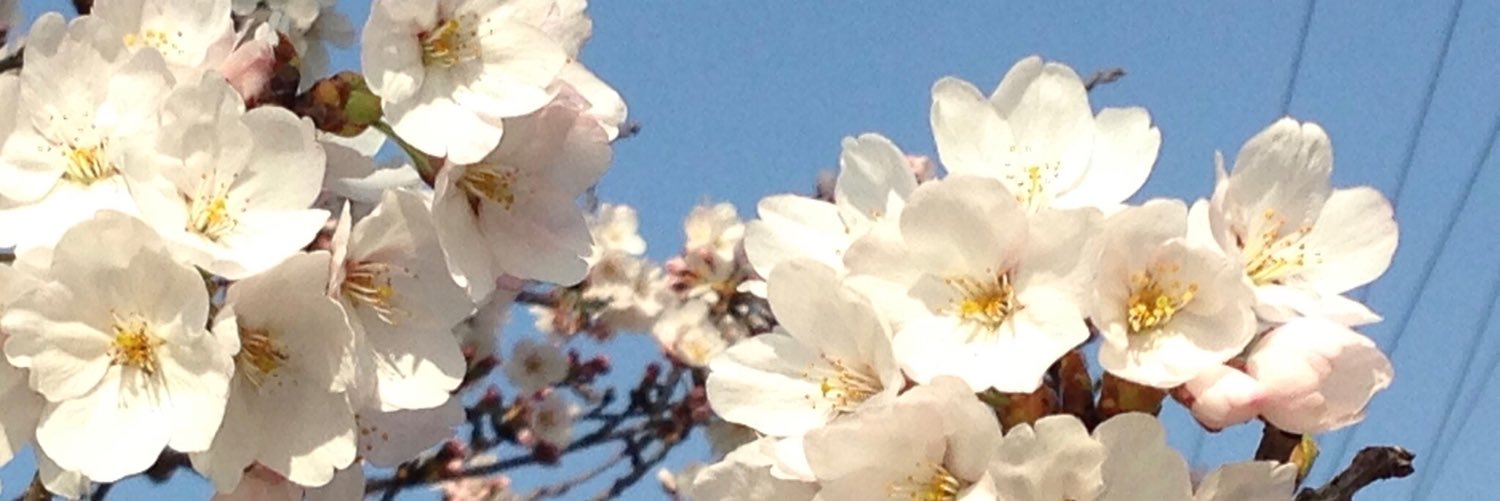 生涯一愛国者 / むぎつね bleeds 日の丸 red and 長良川 blue. banner