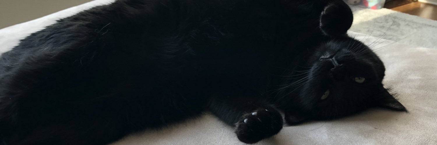 jstecke's profile banner image