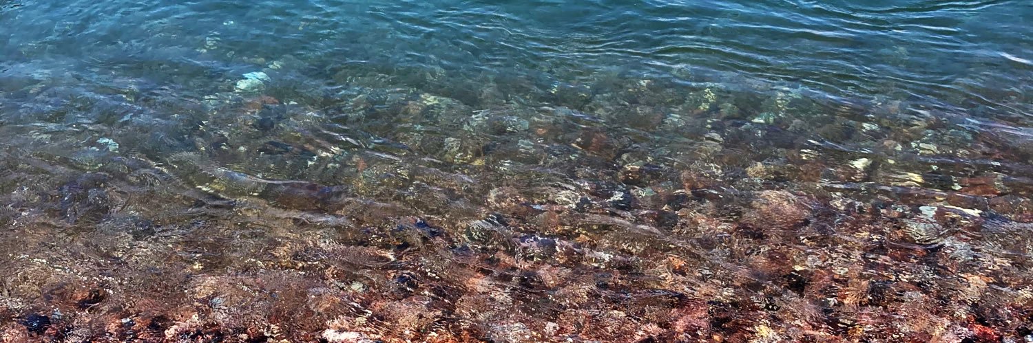 Dr Amelia King banner