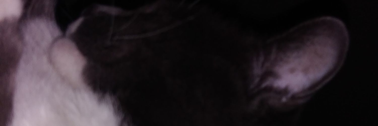 yisywill's profile banner image