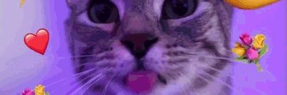 Khami 🐱♥️'s banner