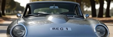 Reg banner