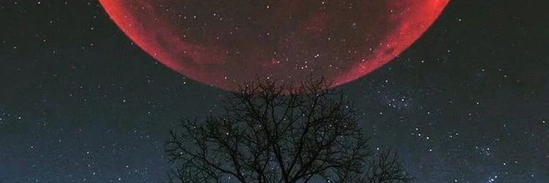 Andres13_16's profile banner image