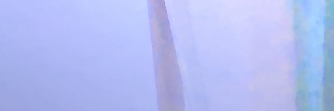 nina banner