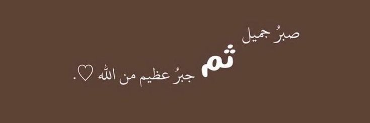 S banner