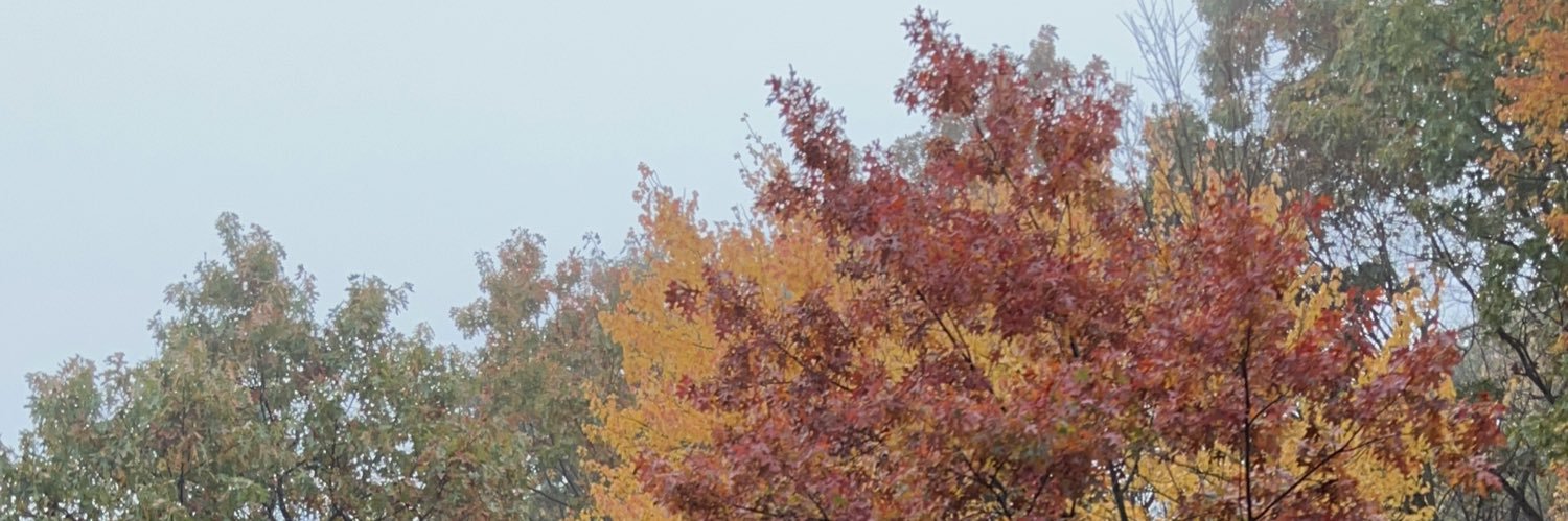 AbagailChartier's profile banner image