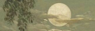 liliskie's profile banner image