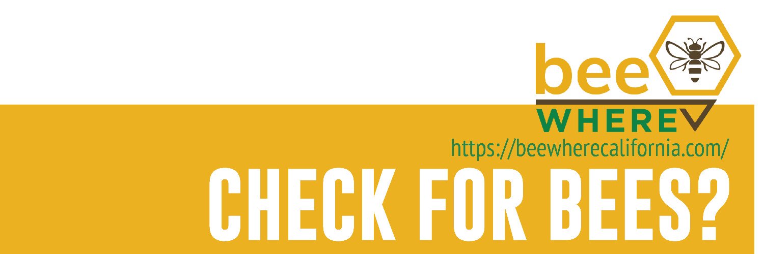 BeeWhere banner