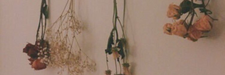 giannaaaRitac's profile banner image