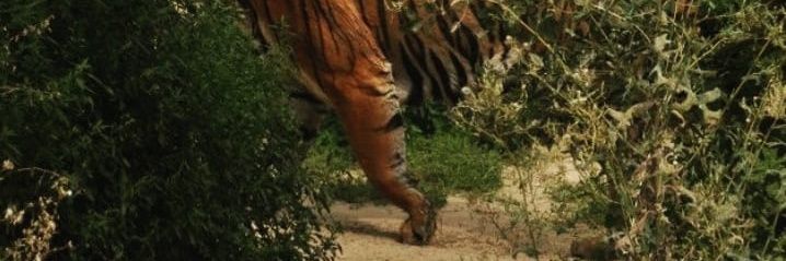 fattahnjmy's profile banner image