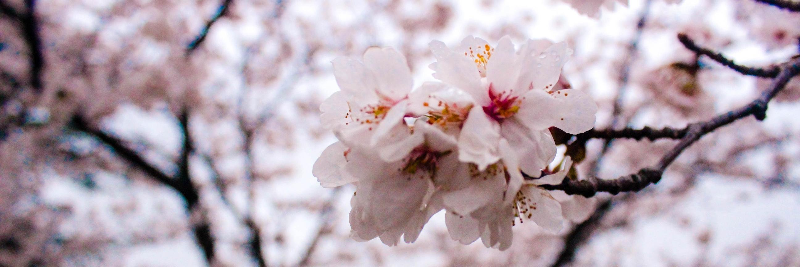 JuliaWilson02's profile banner image