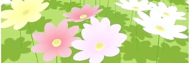 ol_pumpkins's profile banner image