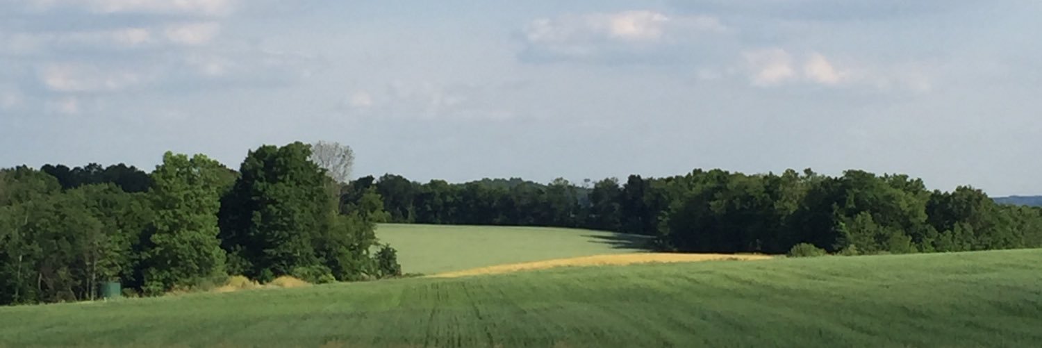 MattMastATL's profile banner image