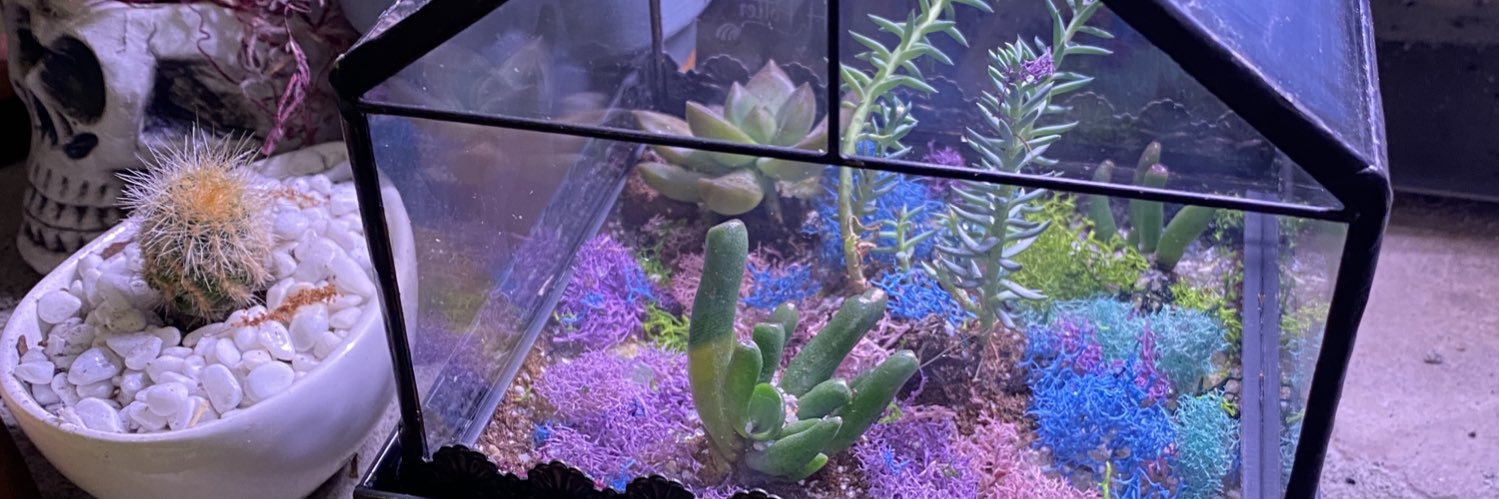 larrytopsoil's profile banner image
