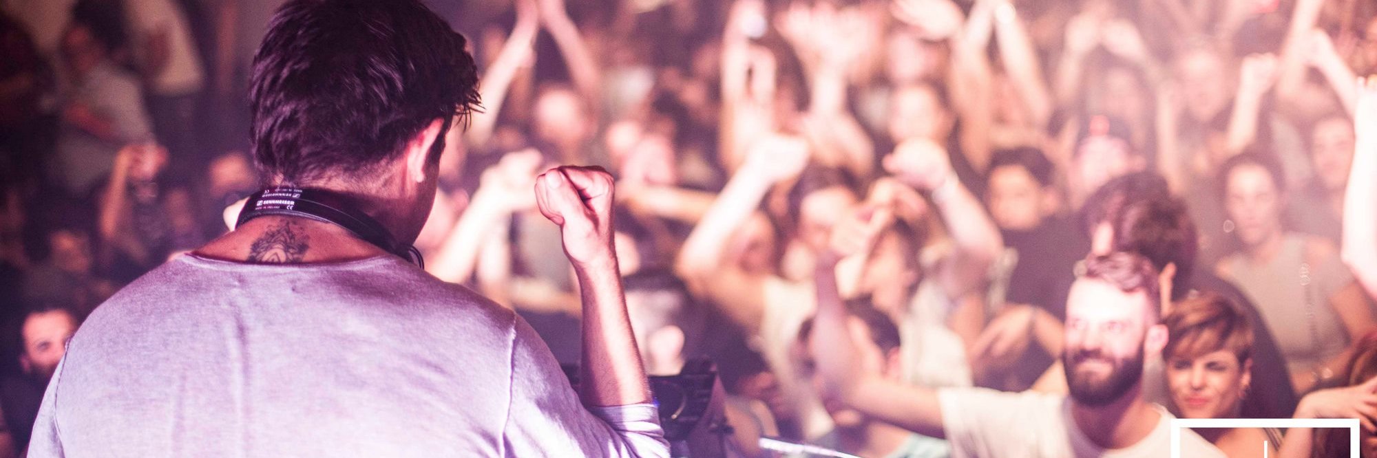 Fiberroot Barron banner