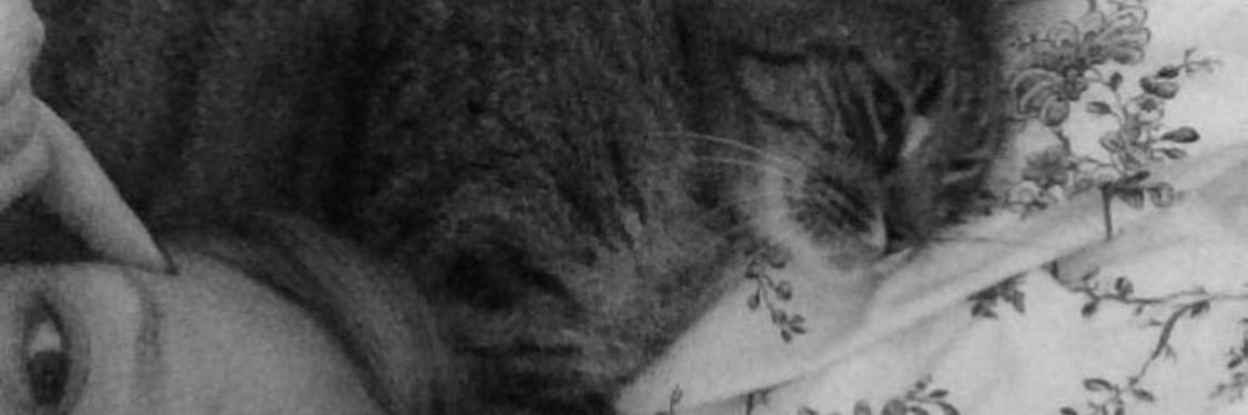 LisaPrdle's profile banner image
