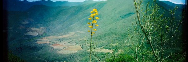 philipklint Profile Banner